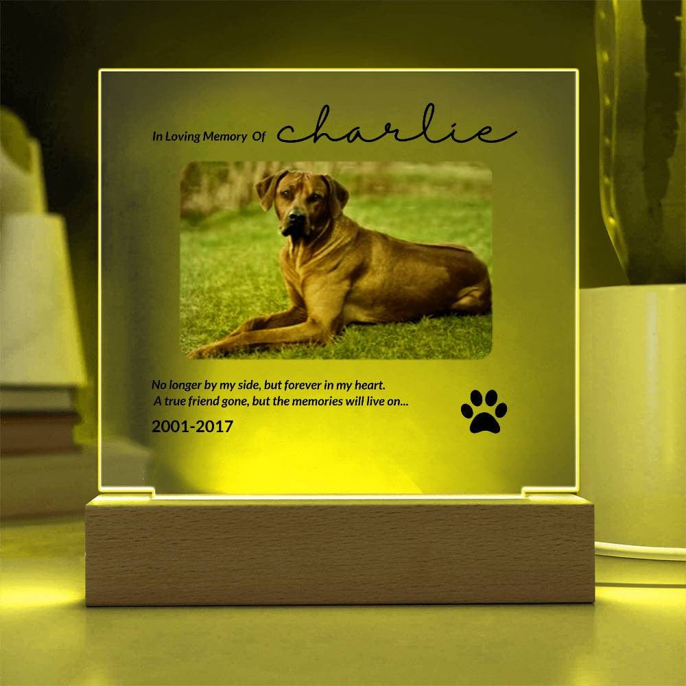 Gift for Pet Owners | In Loving Memory Acrylic