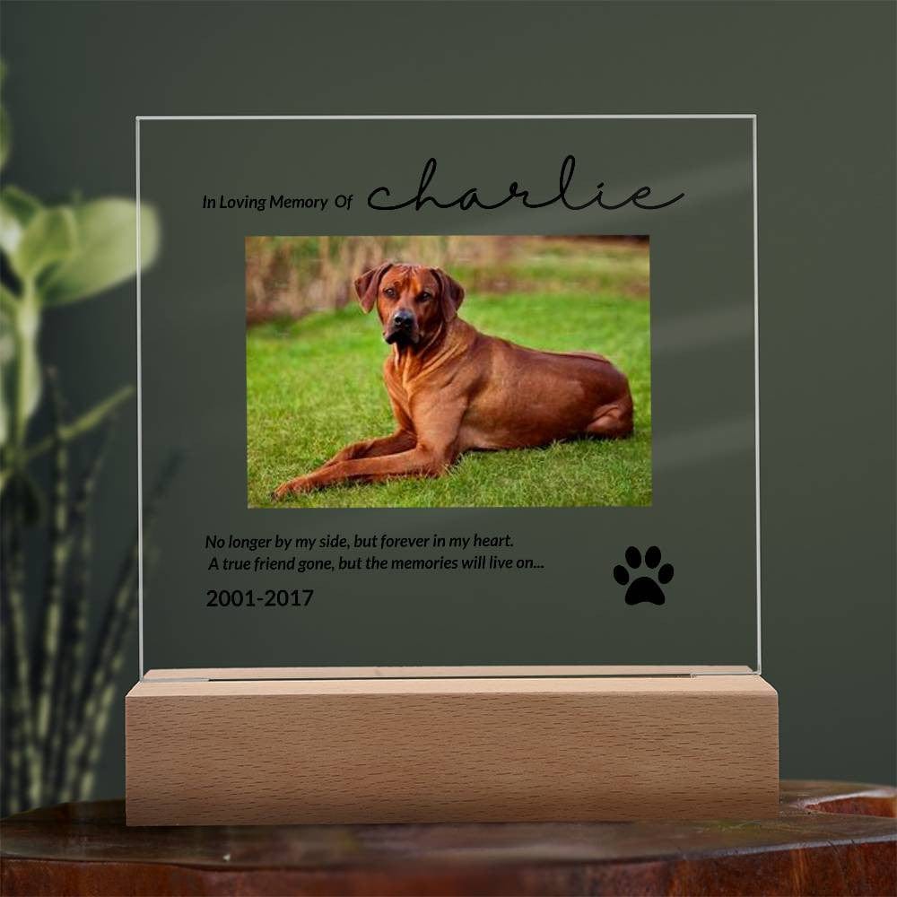 Memorial acrylic plaque for pet with picture, dates and a quote.